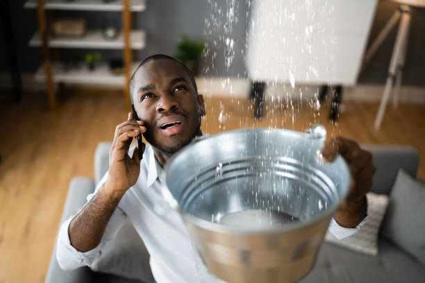 Best Residential water damage restoration  in Graceville, FL