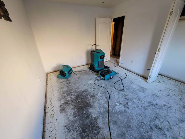 Best Basement water damage restoration  in Graceville, FL
