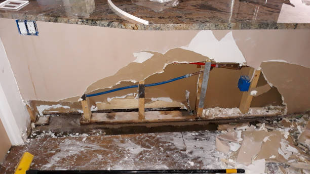 Best Flooded house restoration  in Graceville, FL