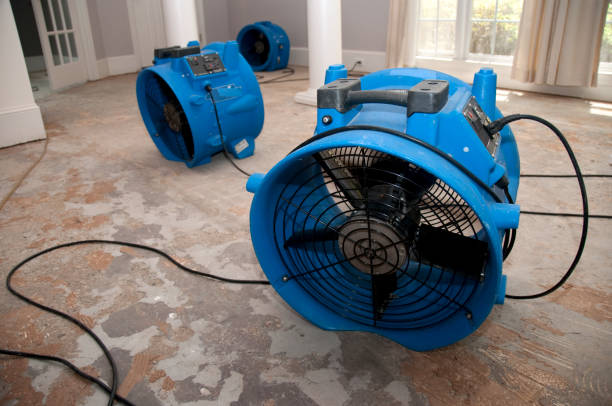Best Water damage restoration near me  in Graceville, FL