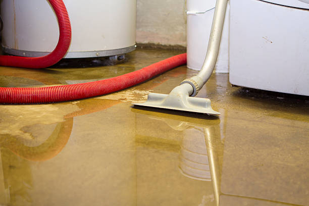 Best 24/7 water damage repair  in Graceville, FL