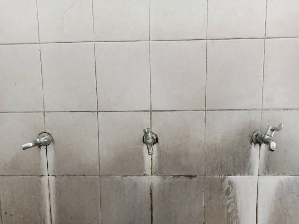 Professional Water damage restoration in Graceville, FL