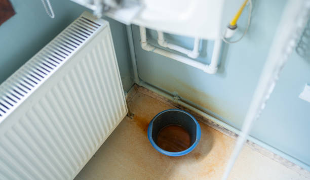 Best Professional water damage repair  in Graceville, FL