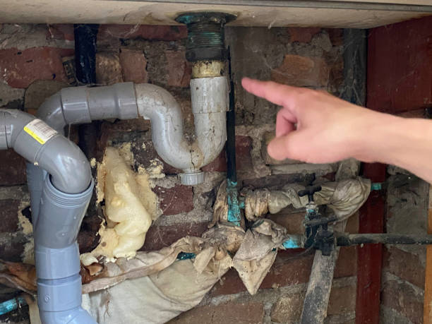 Best Sewage cleanup and water damage restoration  in Graceville, FL