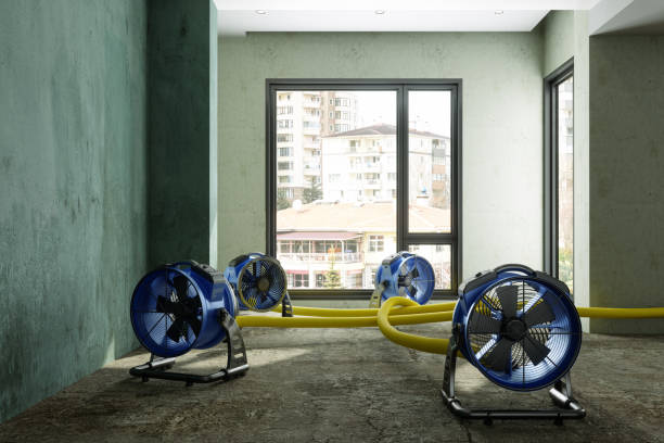 Best Emergency water damage restoration  in Graceville, FL